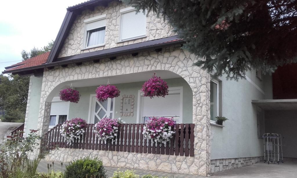 Guesthouse Miha Rakovica Exterior photo